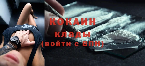 дмт Ельня