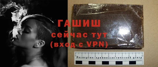 дмт Ельня