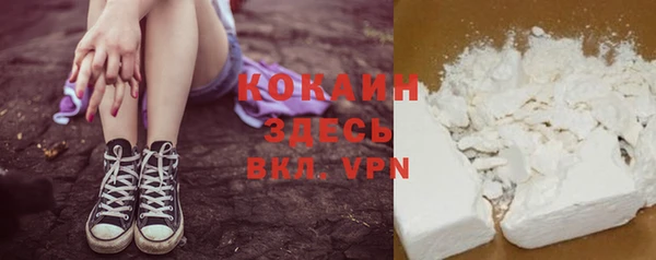 дмт Ельня