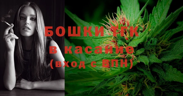 дмт Ельня