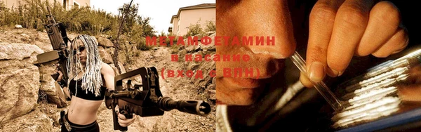дмт Ельня