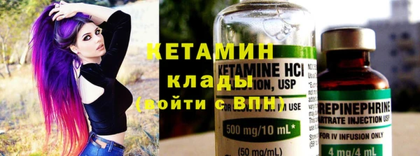 дмт Ельня