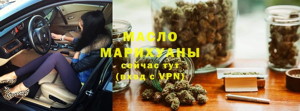 дмт Ельня