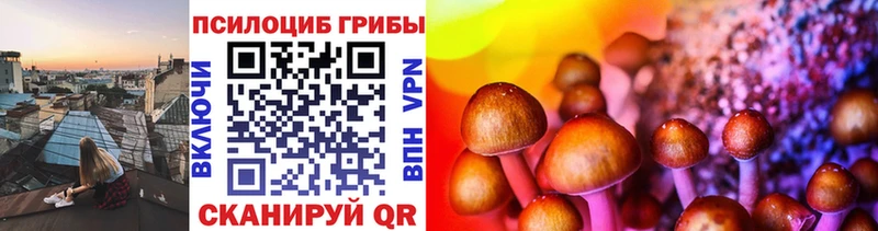 darknet телеграм  Колпашево  Галлюциногенные грибы мицелий  blacksprut зеркало 
